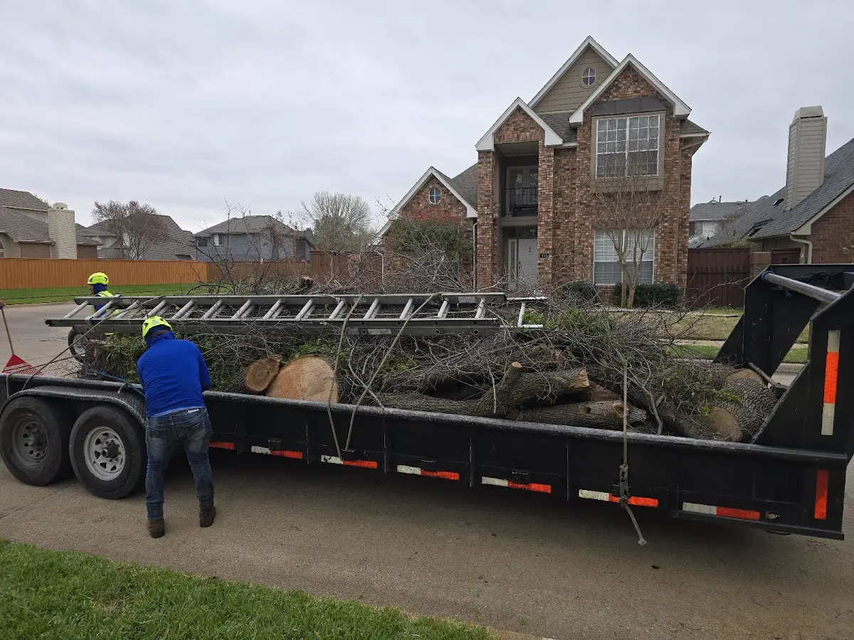 Expert Tree Removal with proper safety equipment in Elk Horn